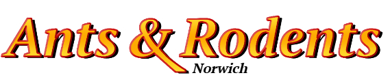 Norwich Ant Exterminator & Rodent Control Company Logo